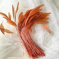 Ventaglio Di Piume Di Struzzo Tinte 14-16 Cm - 32 Piume Per Millinery E Decorazioni Fai Da Te