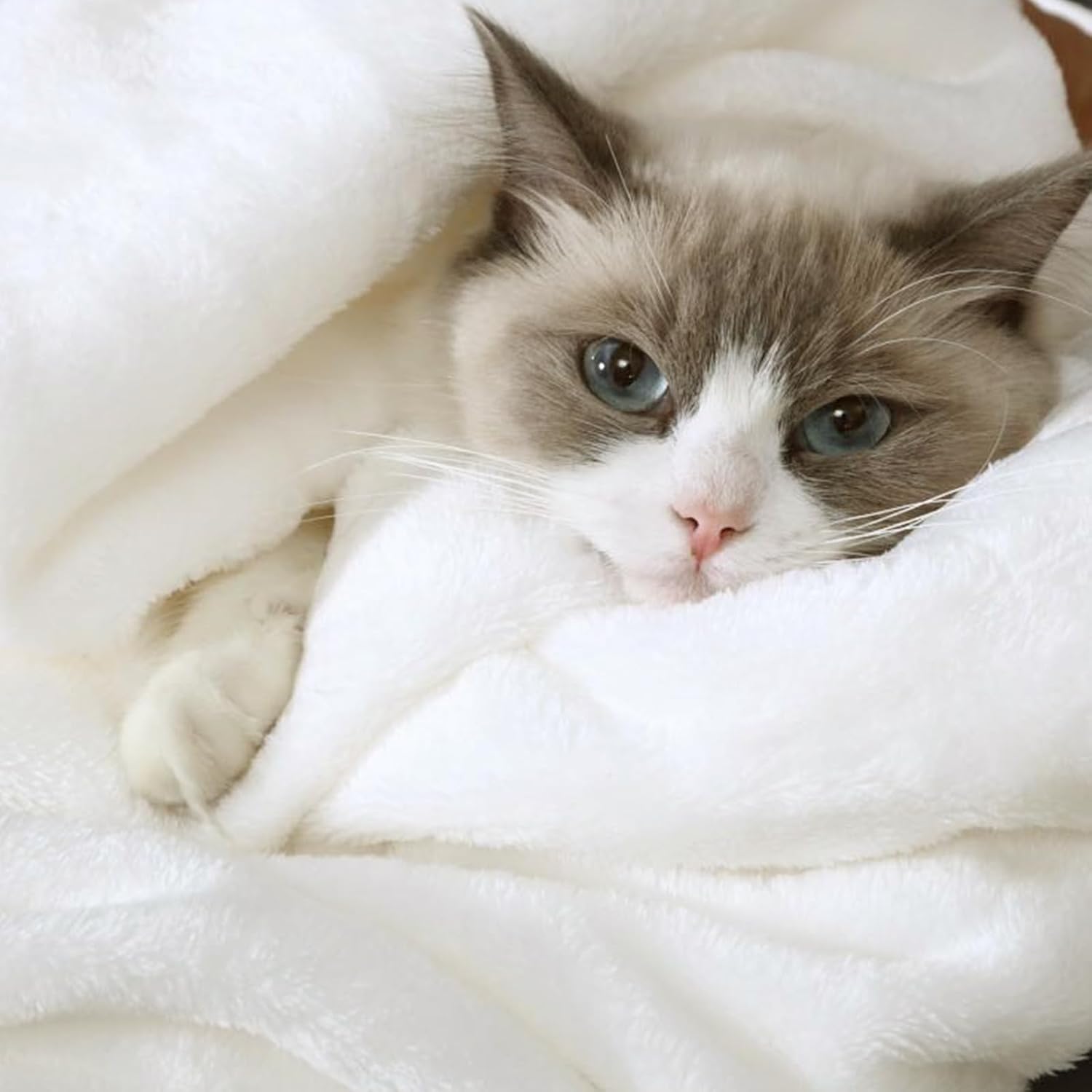 Hansleep Flannel Fleece Throw Blanket Twin Size, Super Soft Fluffy Bed Plush Blanket Throw, Luxury Fuzzy Cozy Couch Blanket for All Seasons, White, Twin 60x80 - Image 7