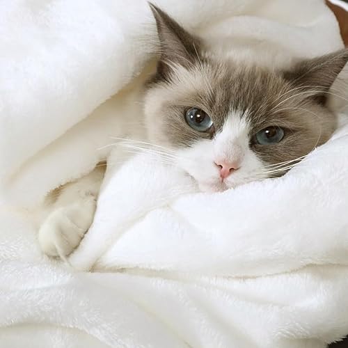 Vista 60 de Hansleep Manta de vellón tamaño individual, color verde azulado, suave y acogedora manta de franela mullida para cama, sofá, viajes, campamento