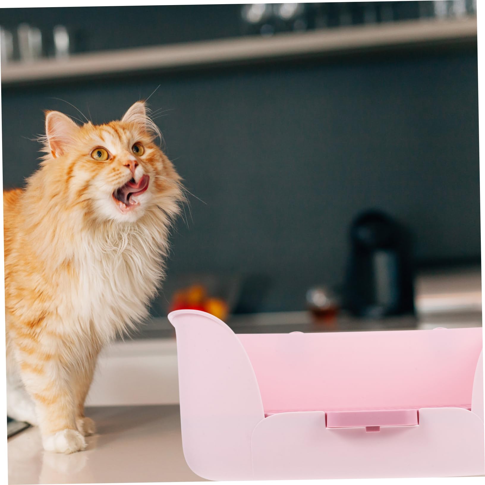 Lettiera per Piccoli Animali Toilette per Conigli e Cavia Vassoio per Addestramento Riutilizzabile Design Compatto e Portatile per Pulito e Confortevole