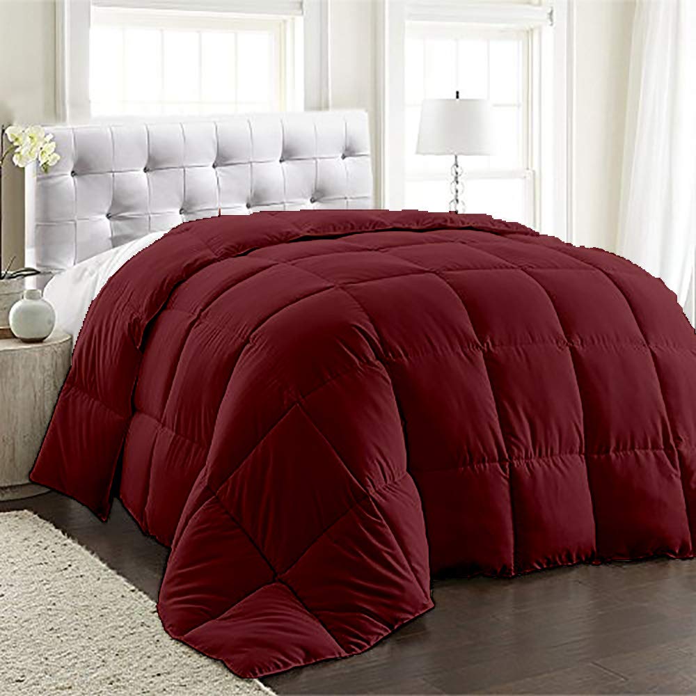 BedDecor 200 GSM Down Alternative Super Soft Premium Quality Microfiber Filling Comforter 600TC Solid 100% Egyptian Cotton (Wine,Queen)