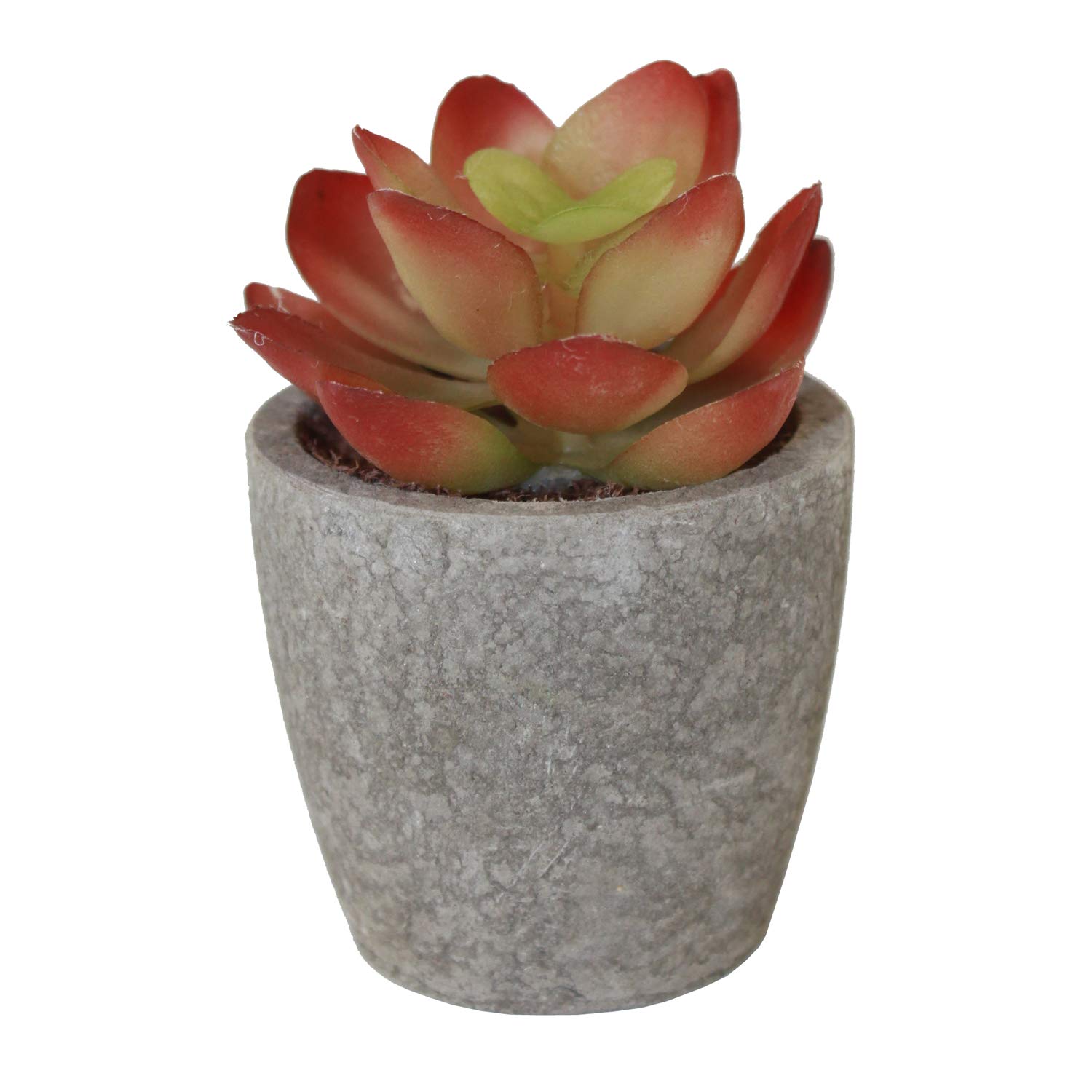 Connie N Randy Mini Cement Faux Succulent