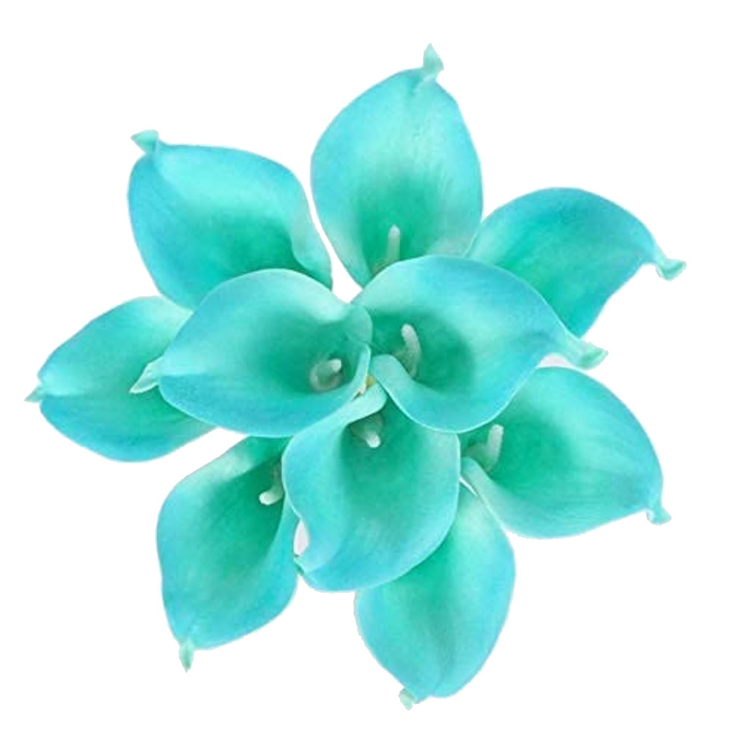 Meide Group 18-Pack Turquoise Blue Calla Lily