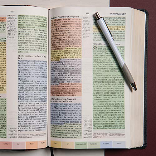 Image of CSB Rainbow Study Bible, Black /Tan LeatherTouch