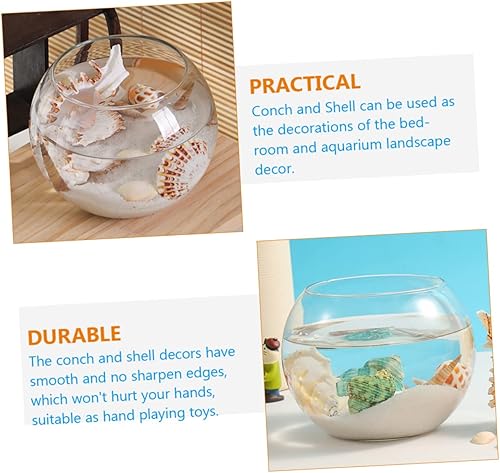 Miniatura 5 de Garneck 4 juegos de conchas marinas paisajismo de varios tamaños conchas marinas, floreros decorativos de conchas marinas artesanales, decoración de