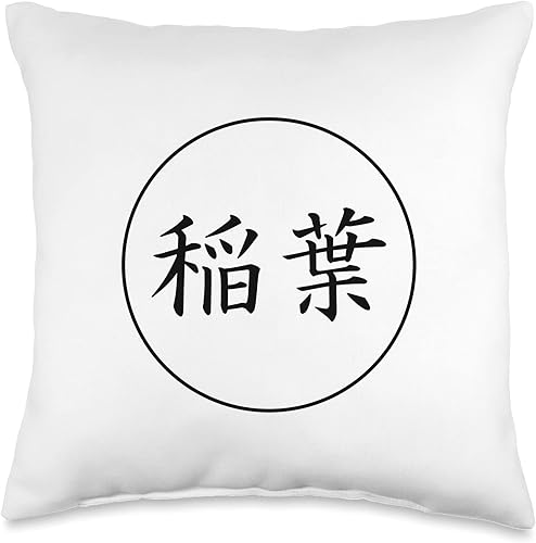 Family Crest and Coat of Arms clothes and gifts Inaba - Almohada japonesa Kanji con nombre familiar, 16 x 16 pulgadas, multicolor
