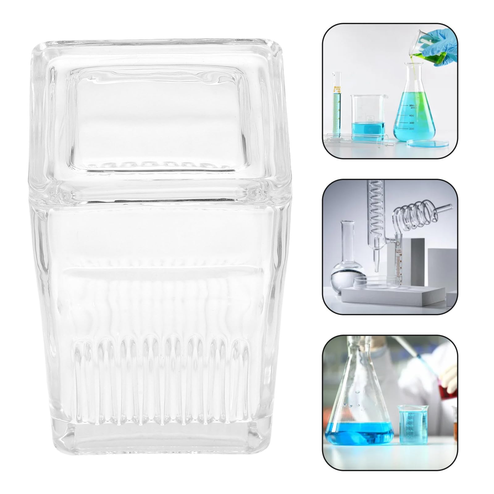 Vaschetta per Colorazione in Vetro Trasparente a 9 Vetrini con Coperchio Portavetrini per Microscopio Resistente a Solventi Chimici Strumento da Laboratorio per Analisi di