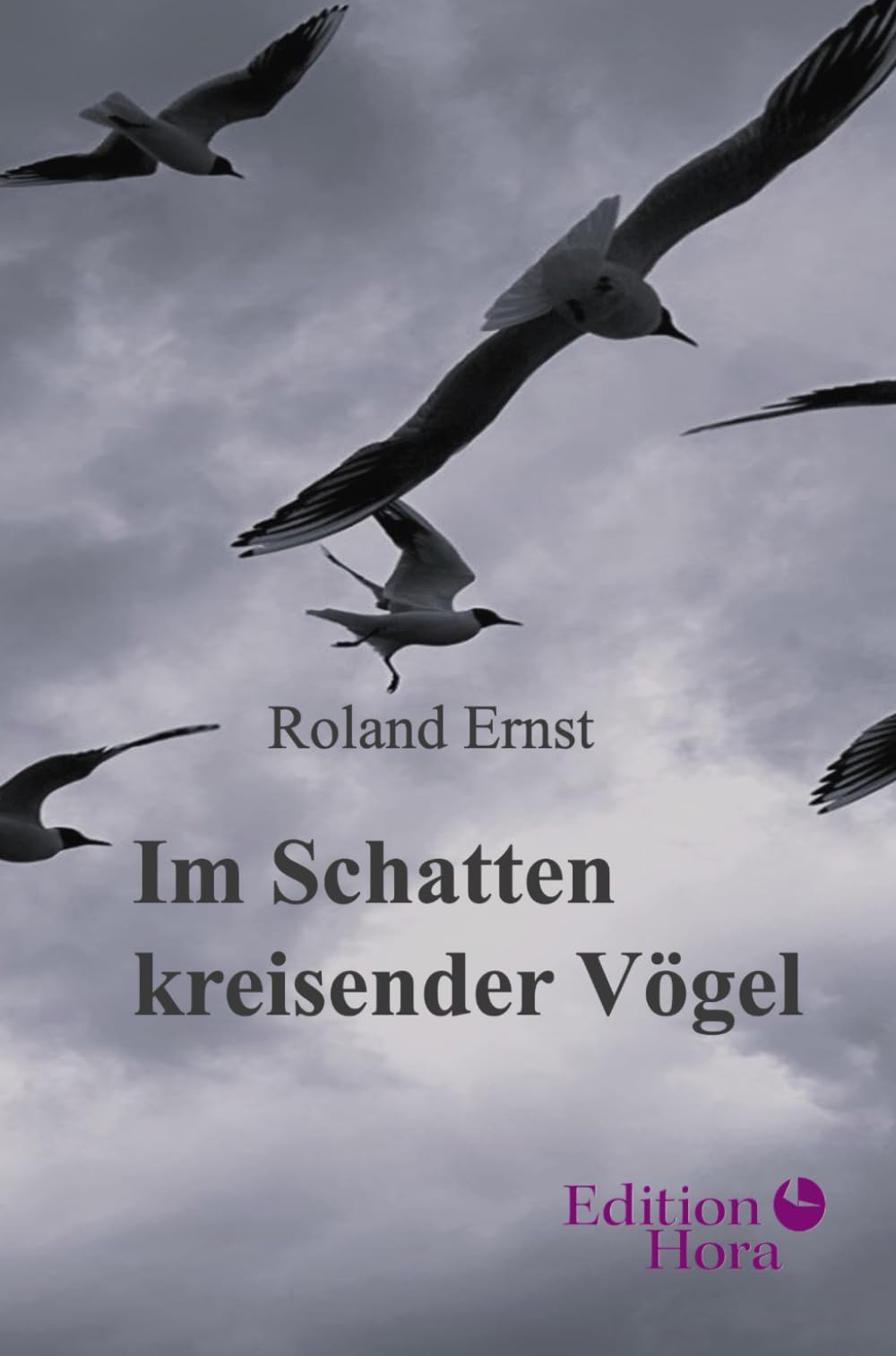 Im Schatten kreisender Vögel: Short Stories