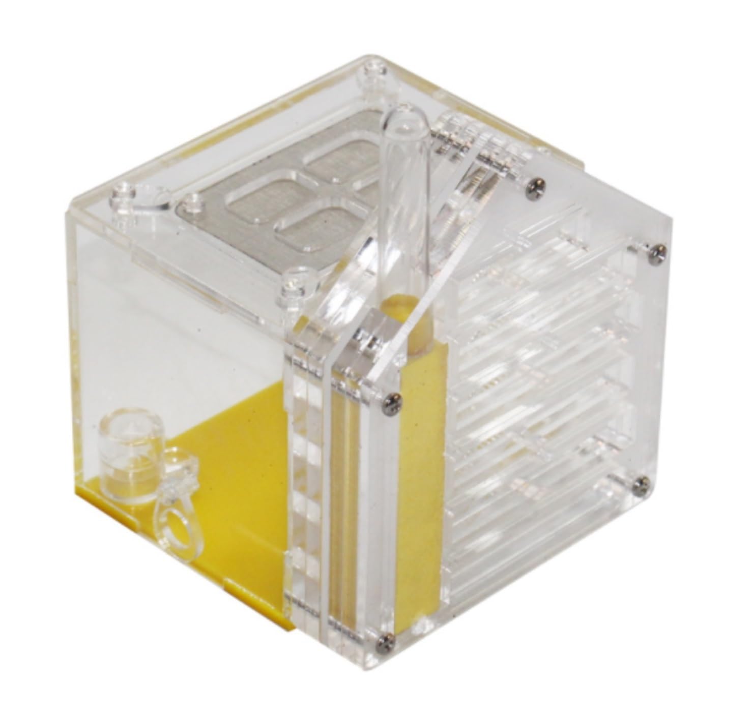 Formicario Formicaio Fattoria Giocattolo Trasparente Ecosistema Formica Habitat Kit Pet Acrilico Educativo Habitat Nido Terrario