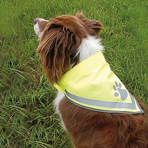 5 Stück Hundehalstuch gelb in 3 Größen S - L Klettverschluss Reflexelemente Dreieckstuch Bandana 5er Set (L)