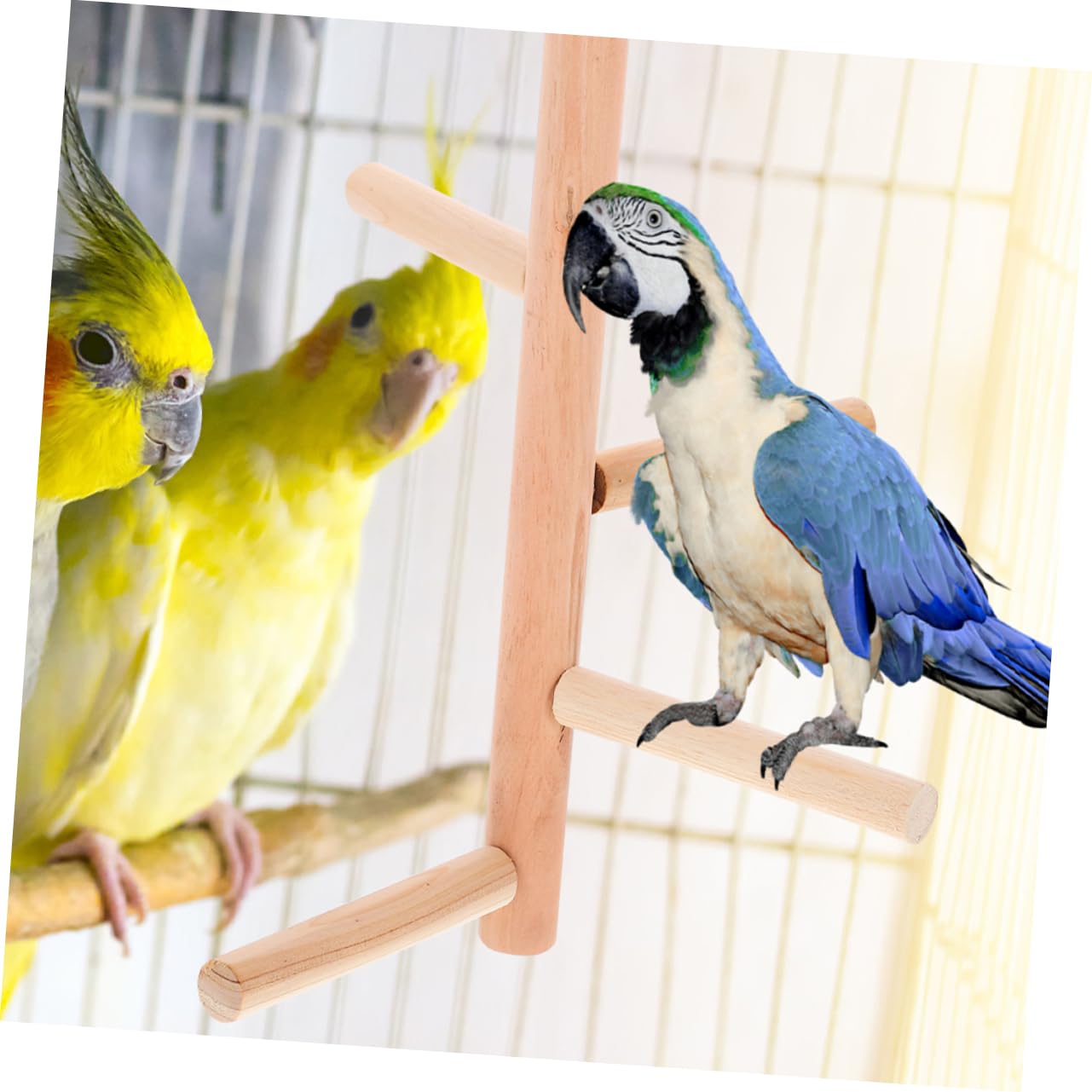HANABASS 10piezas Soporte De Percha para Pájaros De Madera Natural Juguete para Aves Plataforma para Jaula para Periquitos y Loros Fomenta El Ejercicio Diversión