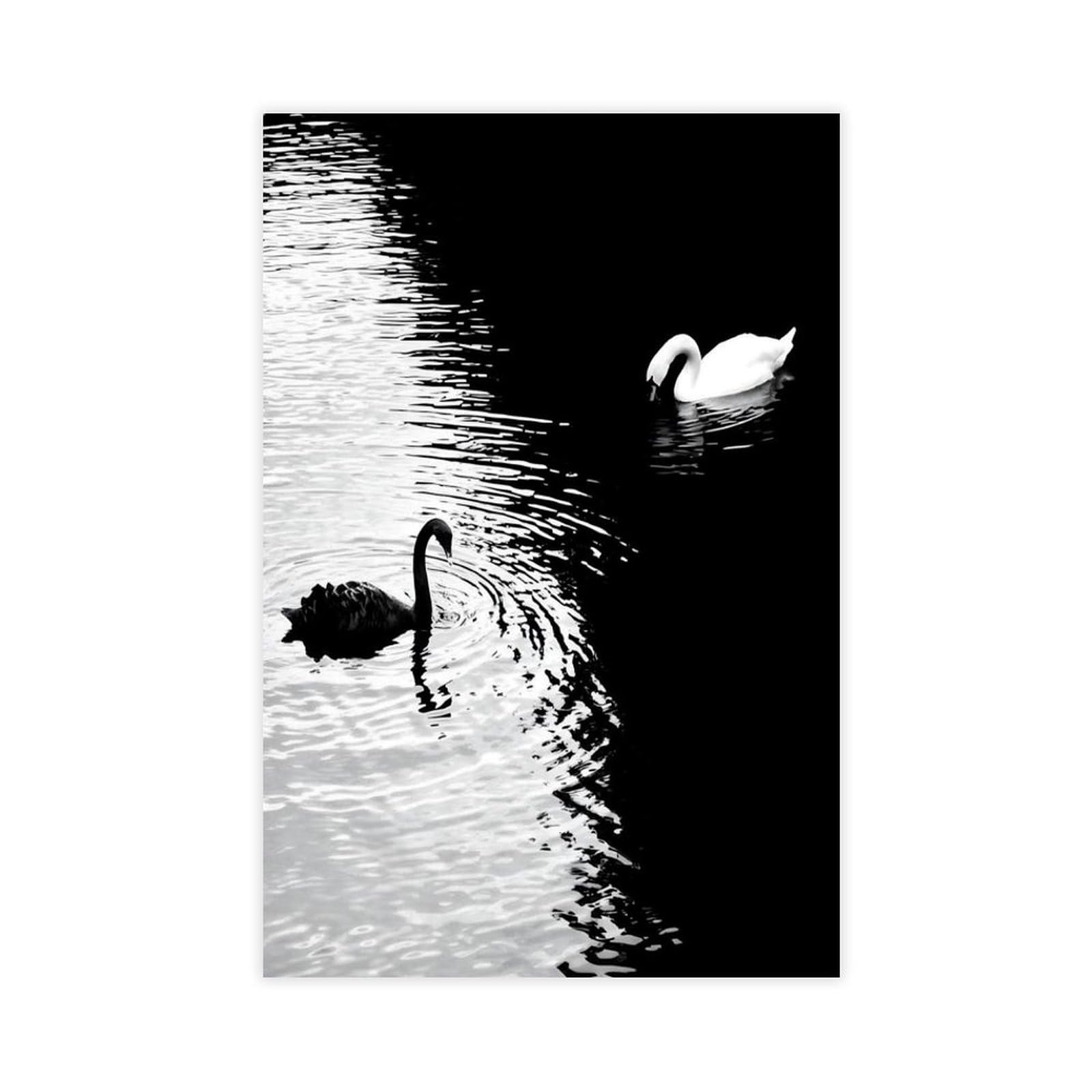 Hohhmy Unframe-Style Yin Yang Swan Canvas Poster For Dorm Room Decor Gift
