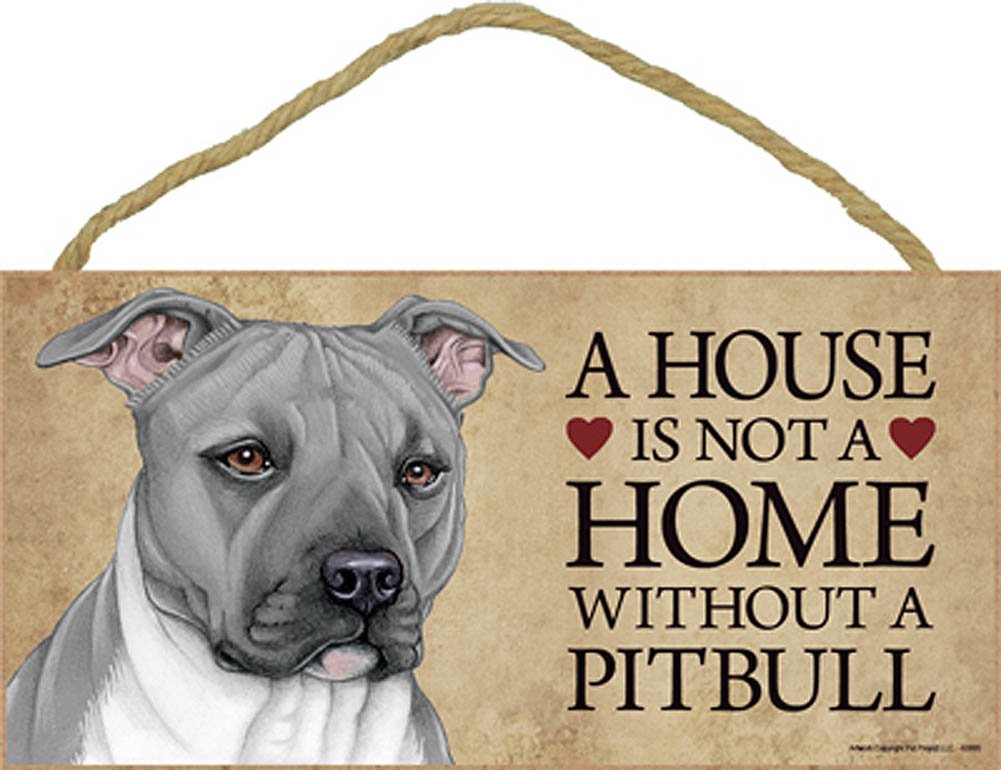 Pitbull House ubicaciondepersonas.cdmx.gob.mx