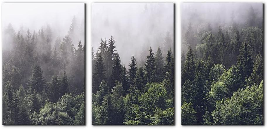 Pacimo Canvas Wall Art Fog Over Pine Tree Forest Nature Wilderness Photography Modern Art Rustic Landscape Relax/Calm Cool for Wall Decor Giclee Artwork Stretch Framed Ready to Hang - 16"x24"x3