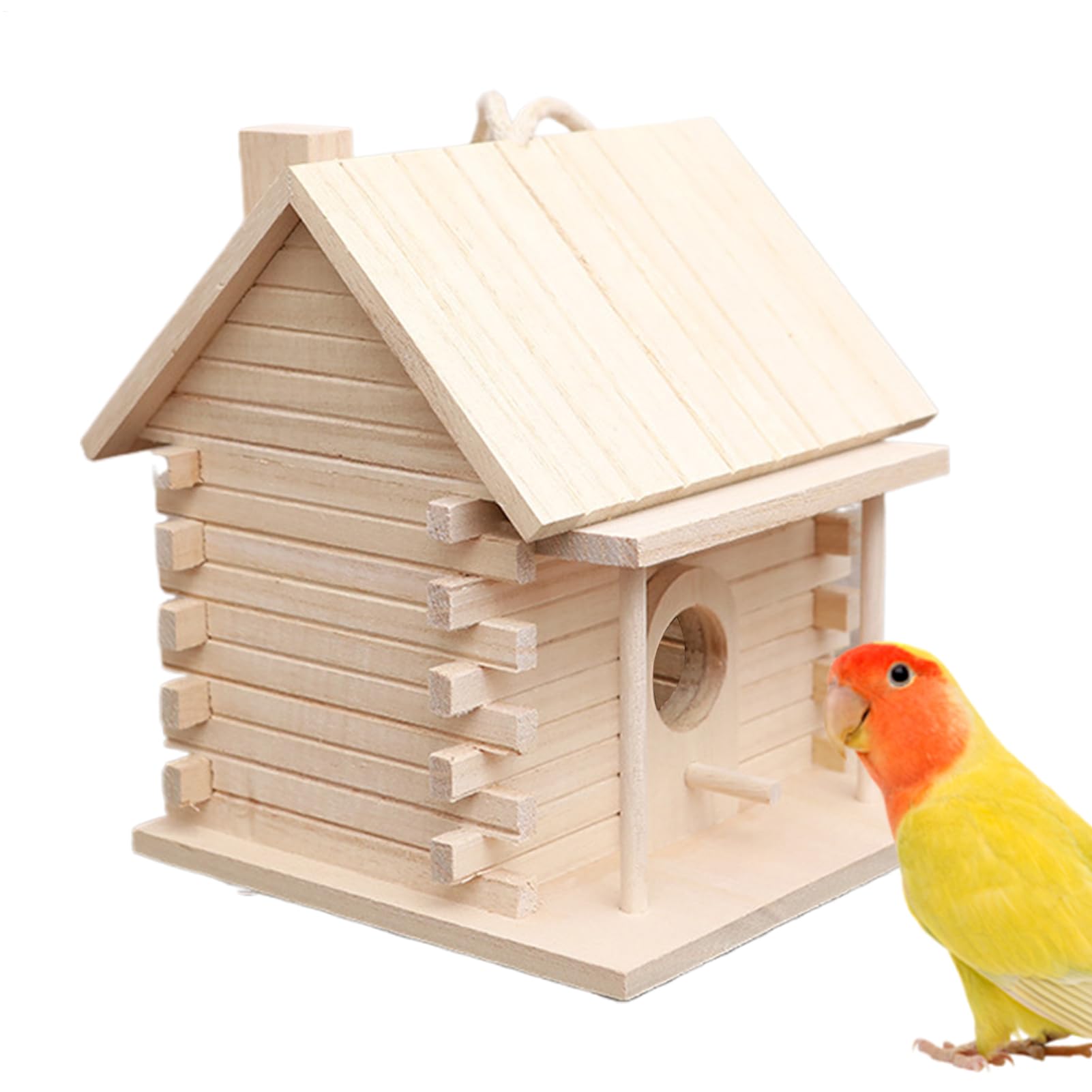Nichoir en bois pour perroquet extérieur et décoration jardin suspendu