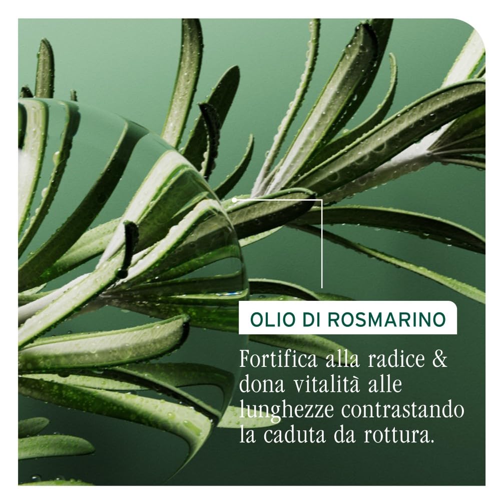 Biolage Trattamento Anti-Caduta in Fiale per Capelli Fini, Adatto a Tutti i Tipi di Capelli, Arricchito con Olio di Rosmarino, Niacinamide e Vitamina B, Full Rescue, 10 x 6 ml