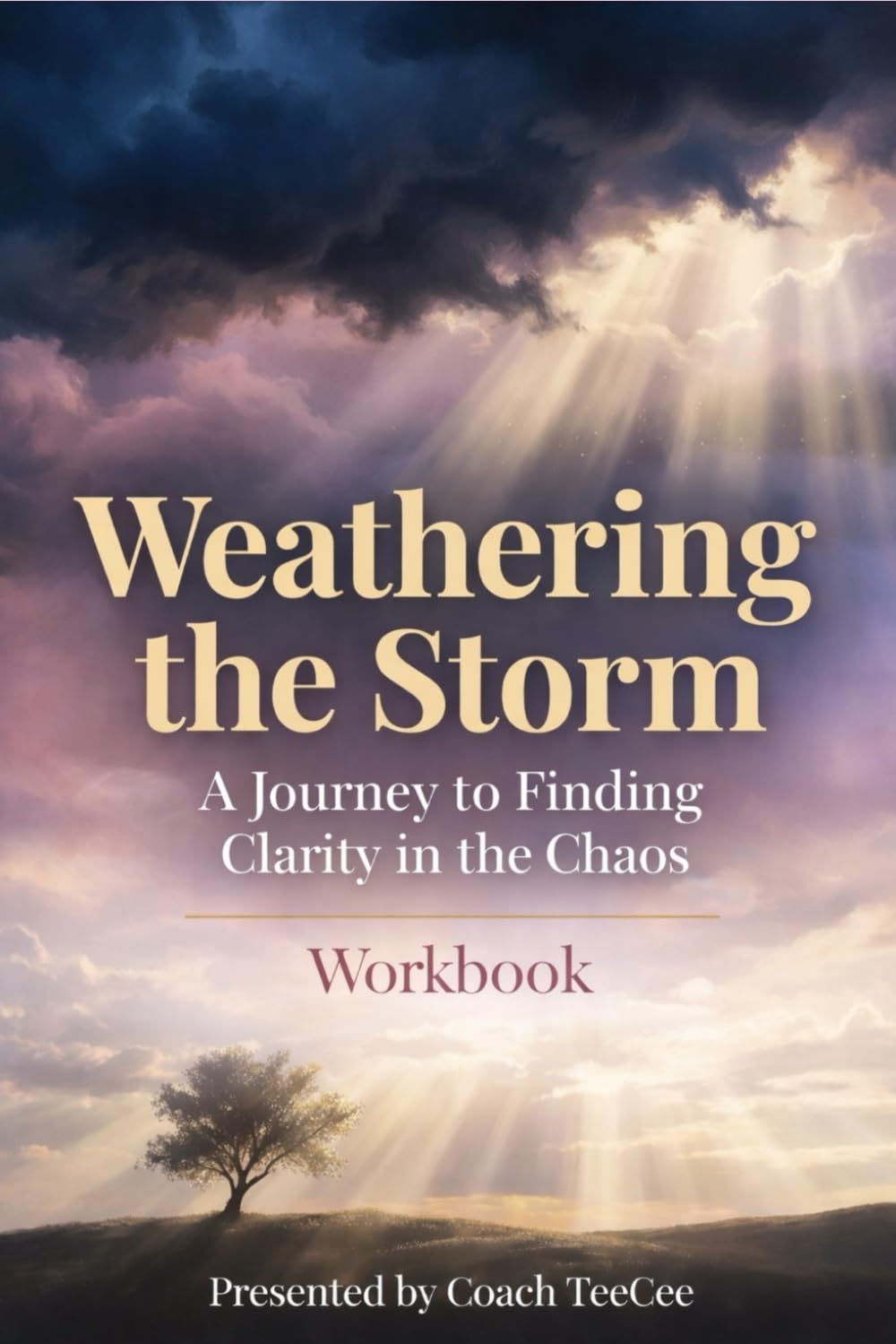 Weathering the Storm: A Journey to Finding Clarity in the Chaos Workbook