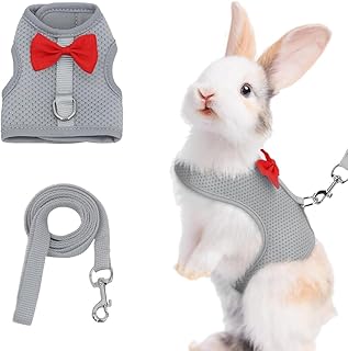 GGUFAY Kaninchen Leine, Verstellbares Kaninchen zubehoer, 120cm Weiches Kaninchen Leine, Hasen zubehör mit Elastischer Leine, katzenleine mit Geschirr für Kleintiere Hasen Katzen Outdoor Gehen(A) product image