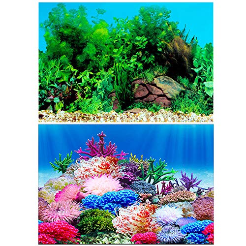30x52cm ك|X^[ obNXN[ Rc ʕǎ ̔wi ̏ ƃTSʂ̃|X^[
