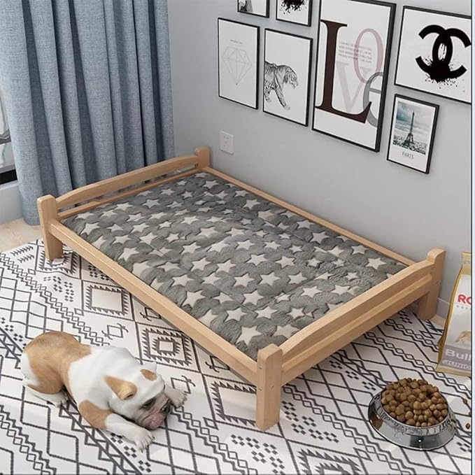 Cama Elevada para Perros Pequeña 61cm con Colchoneta Lavable miniatura 2