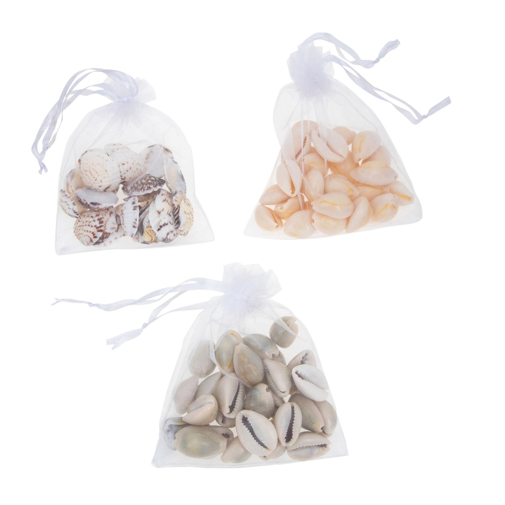 ULDIGI 40pcs Natural Shell Decorations Conch Shell Pendants for Fish Tank and DIY Jewelry