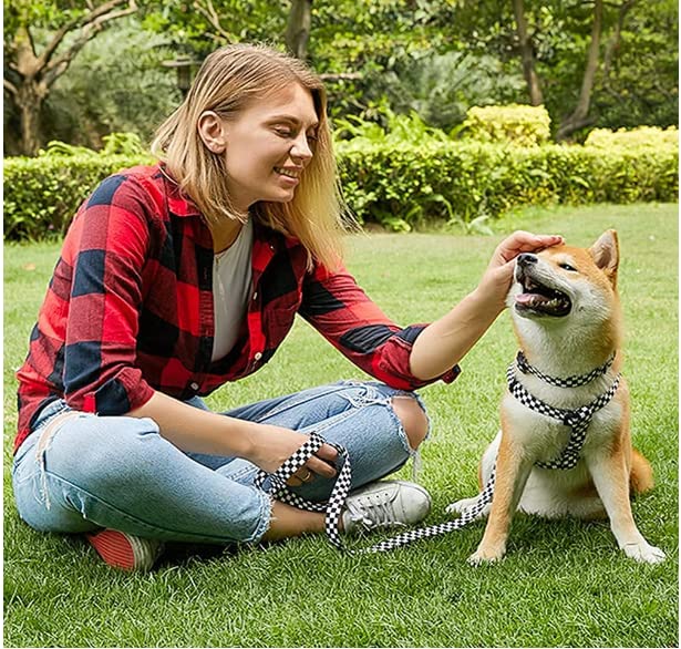 Cosyhomelondon Small Dog Harness and Leash Set, No Pull Dog Harness, Pink - Image 2