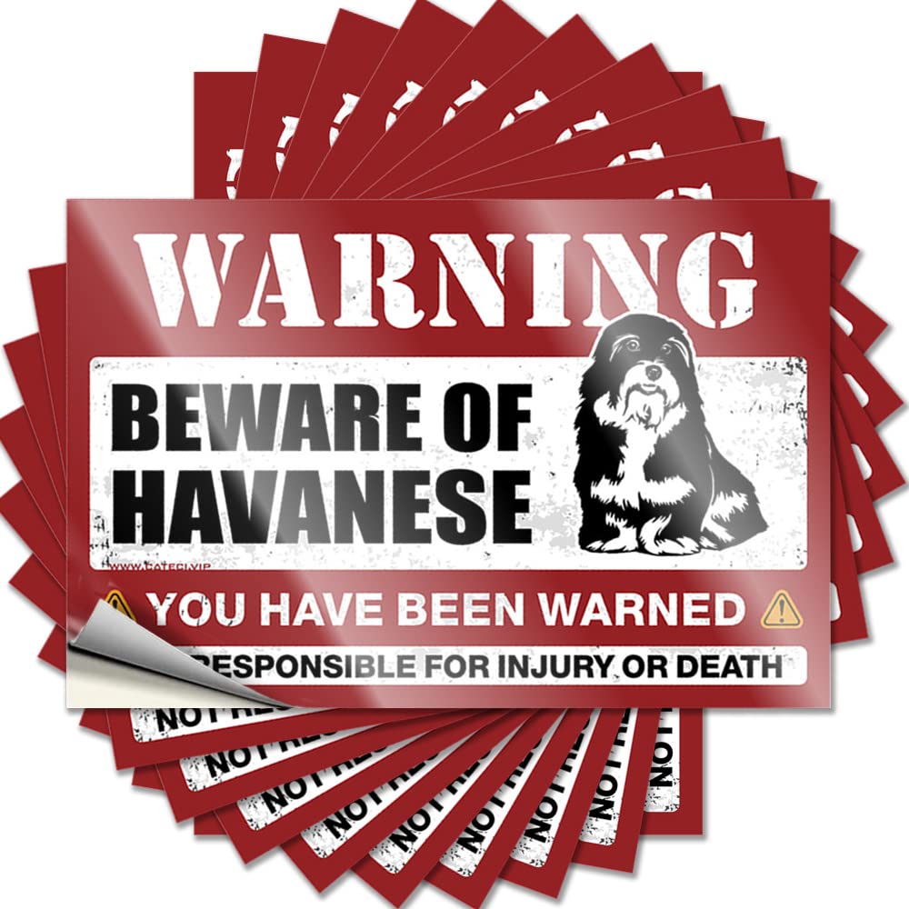 Car Stickers Funny Beware of Havanese Funny Sticker 10 Pcs Funny Bumper Stickers Inappropriate Stickers(8X12CM)