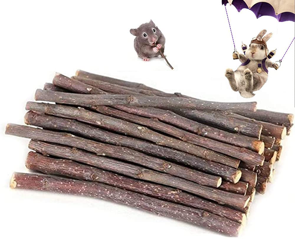 Holahoney Natural Apple Sticks Pet Chew Toys for Small Animals - 100g Molar Wood Treats for Rabbits, Chinchillas, Guinea Pigs, Hamsters and Other Small Animals