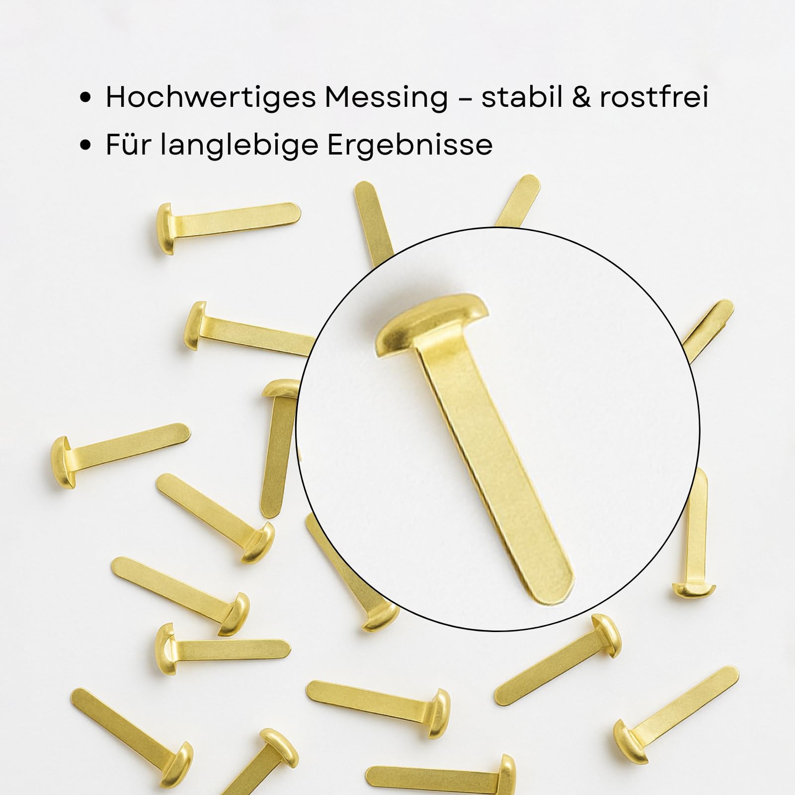 Clip a testa tonda Westcott E-10592 in ottone 13 mm 100 pezzi