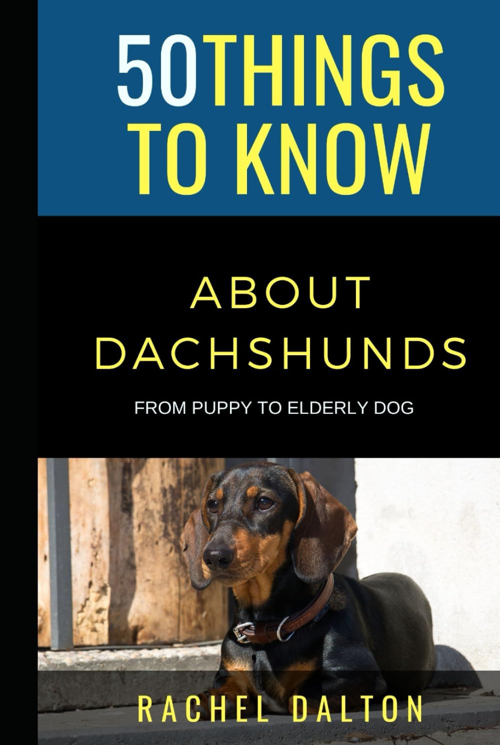 50 Things to Know About Dachshunds: From Puppy to Elderly Dog (50 Things to Know About Pets and Animals: Practical guides, breed facts, and animal care tips for curious readers and pet lovers)