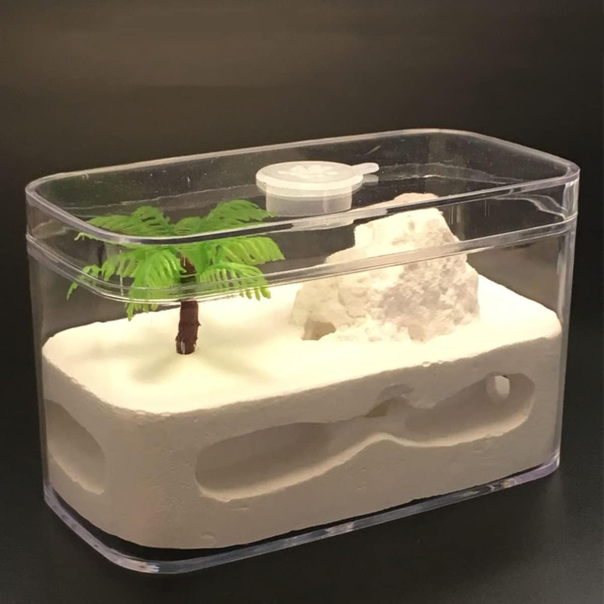 Stereoskopische Acrylbeobachtung Nest Bauernhof Ökologischer Gips-Ameisennistkasten Ameisenburg Ameisenkönigin Zuchthaus Villa Pädagogische Ameisenkolonie Beobachtungsbox Ameisenhügel Fütterung Werkst