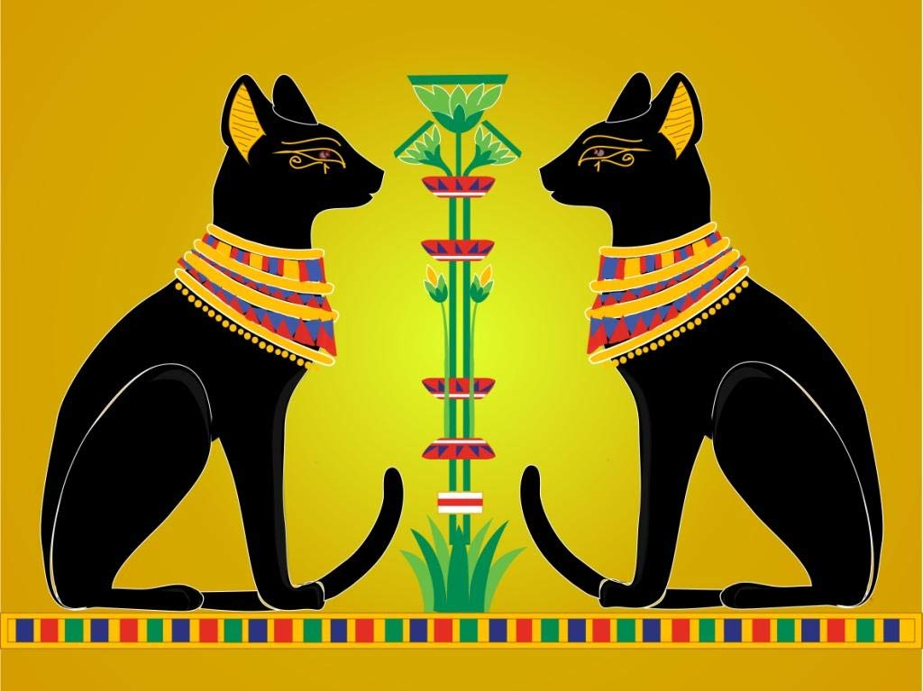 iDecor canvas printing of Egypt cat in 30 x 40 cm frame