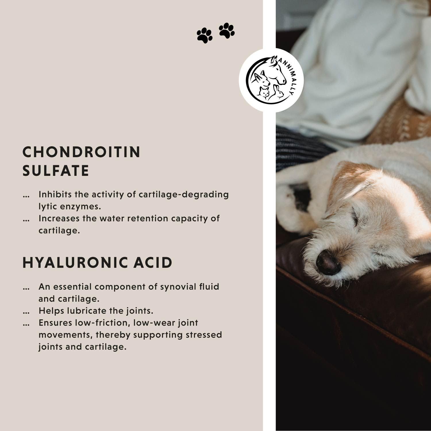 Joint supplements for dogs with MSM green lipped mussel, chondroitin and glucosamine, 120 tablets hip & joint care for dogs - Image 4