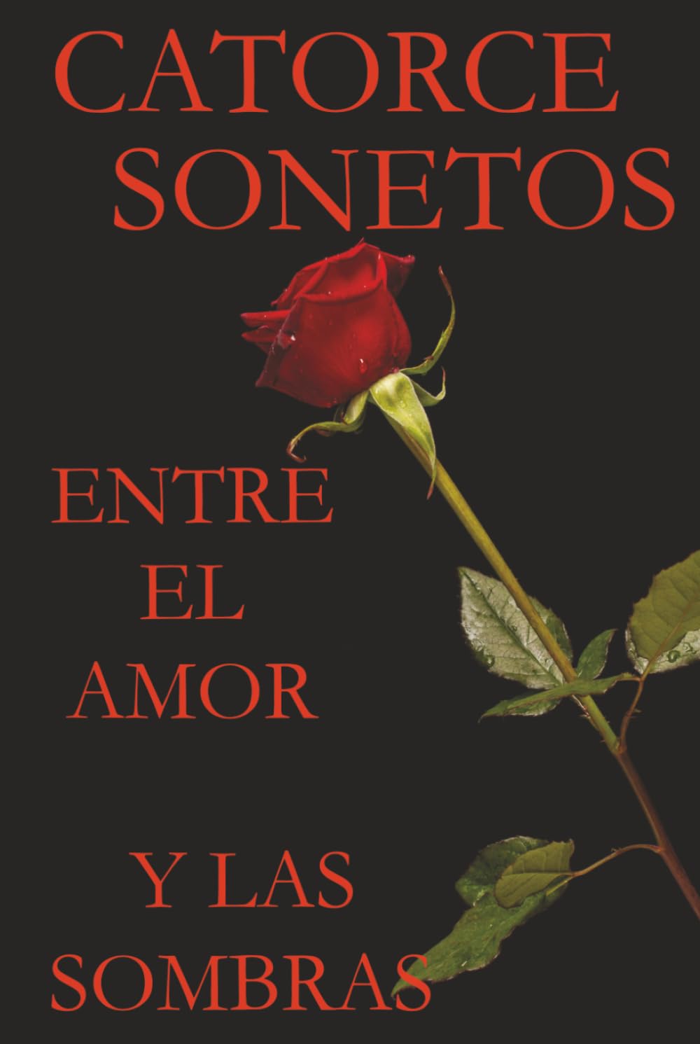 CATORCE SONETOS ENTRE EL AMOR Y LAS SOMBRAS