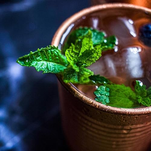 Miniatura 6 de Juego de 2 latas de cóctel de cobre de 12 onzas, elegidas por bartenders profesionales, diseño de lata de frijoles, juego de tazas de cobre perfecto