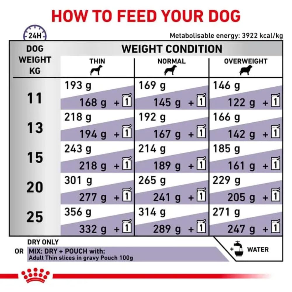 Royal CANIN Alimentos de Mascotas - 4000 gr