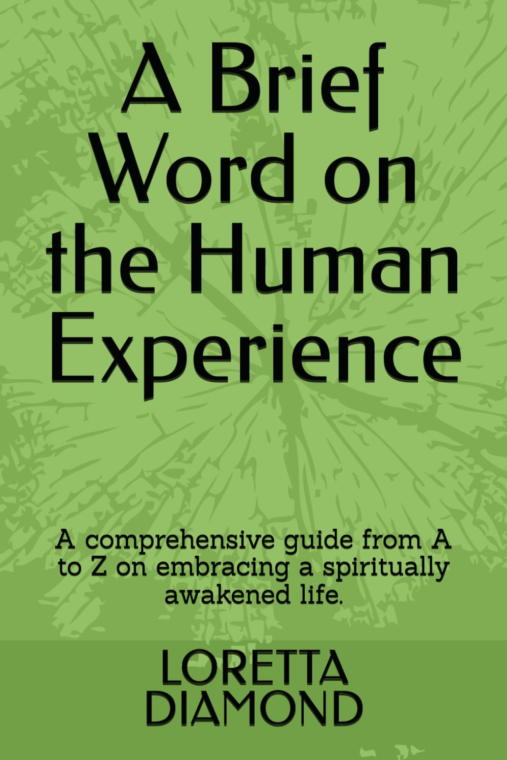 A Brief Word on the Human Experience: A comprehensive guide from A to Z on embracing a spiritually awakened life.