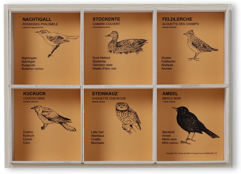 KOOKOO Vogelpfeifen 6er Set, Handgefertigte Instrumente für Naturgeräusche, Vogelstimmen-Imitation mit Aufbewahrungsbox (6er Set)