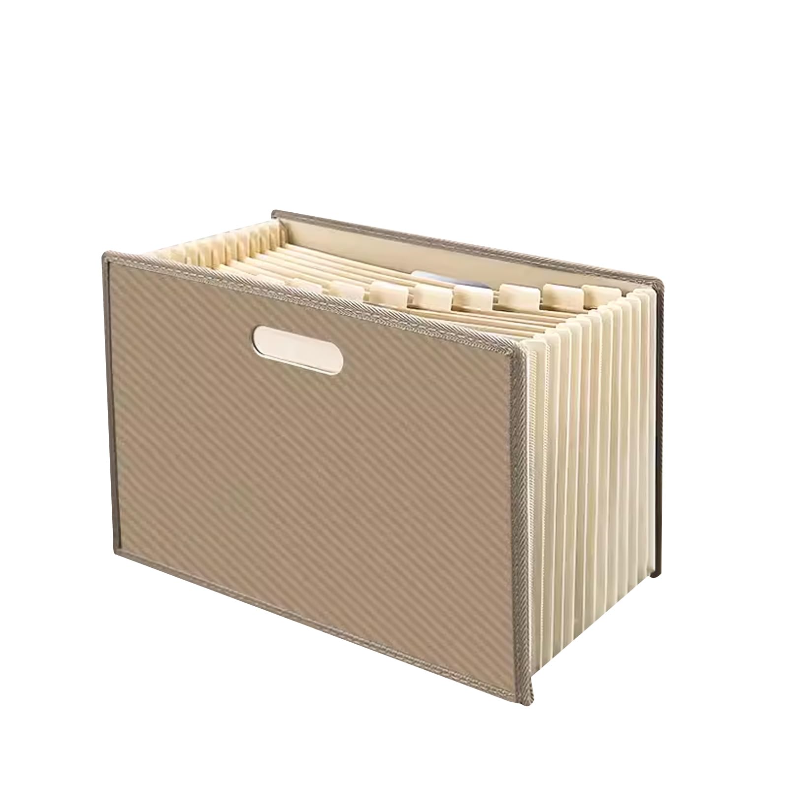 Carpetas, Organizador de documentos, Almacenamiento de archivos protector, Carpeta de archivos expandible A4 con 13 bolsillos, Organizador de archivos Carpeta de acordeón for oficina, hogar, escuela/m