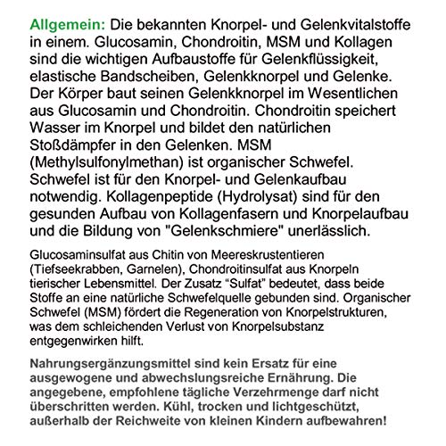 Knorpel & Gelenke Komplex Classic 180 ArthroWell Gelenk-Kapseln – Natürliche Gelenkbausteine Glucosamin + Chondroitin + MSM + Kollagen. 26441