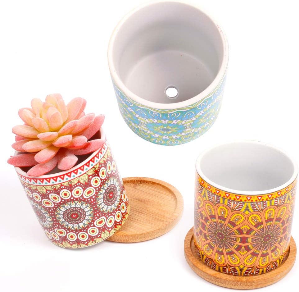 4 pcs 3.0 inches Ceramic Succulent Planters - with Bamboo Trays, Small Plant/Cactus/Bonsai/Flower Container Pots Gift with a Drainage Hole for Windowsill and Office Table Home Decor