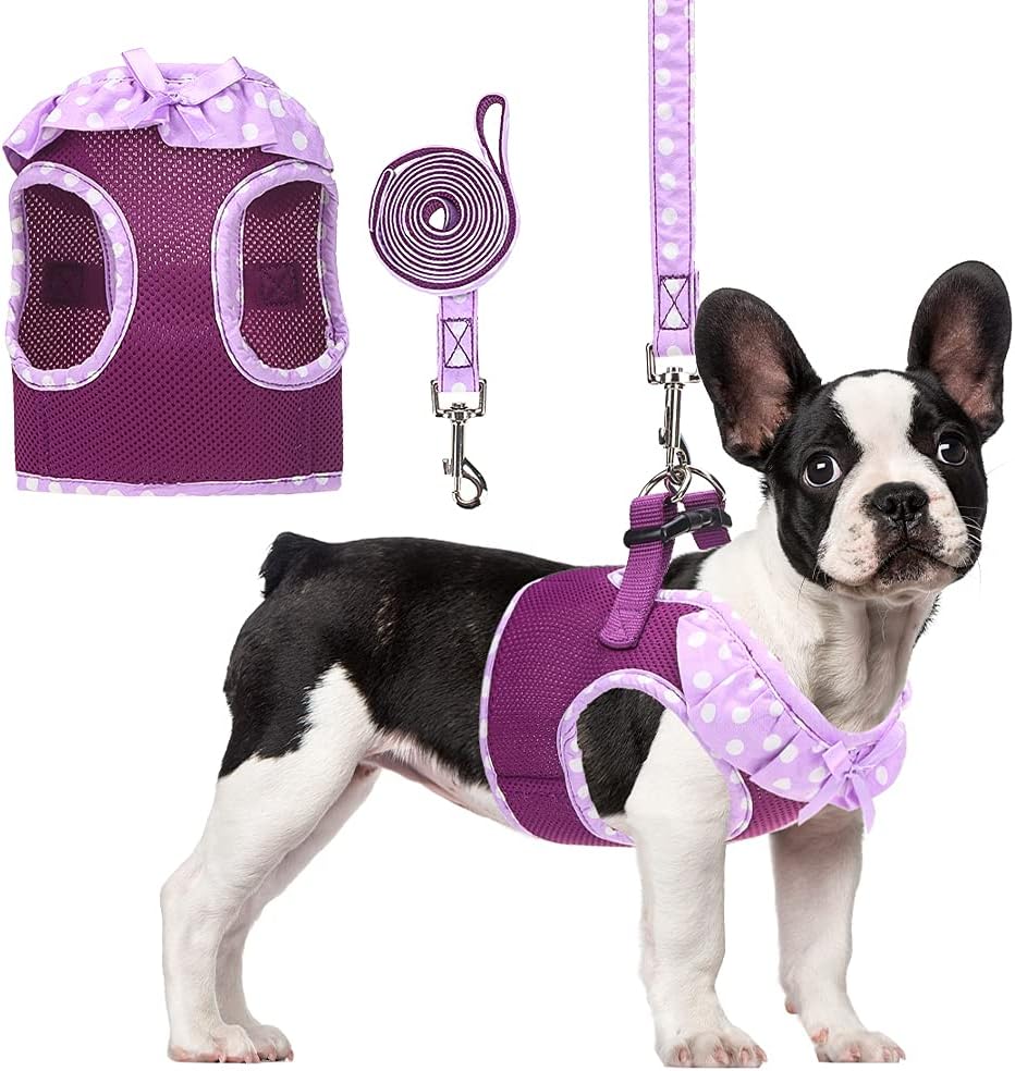 Puppy Harness and Leash Set for Small Dogs Cats - Soft Mesh Adjustable No Pull Dog Vest Harness with Cute Polka Dot and Bowknot : Pet Supplies