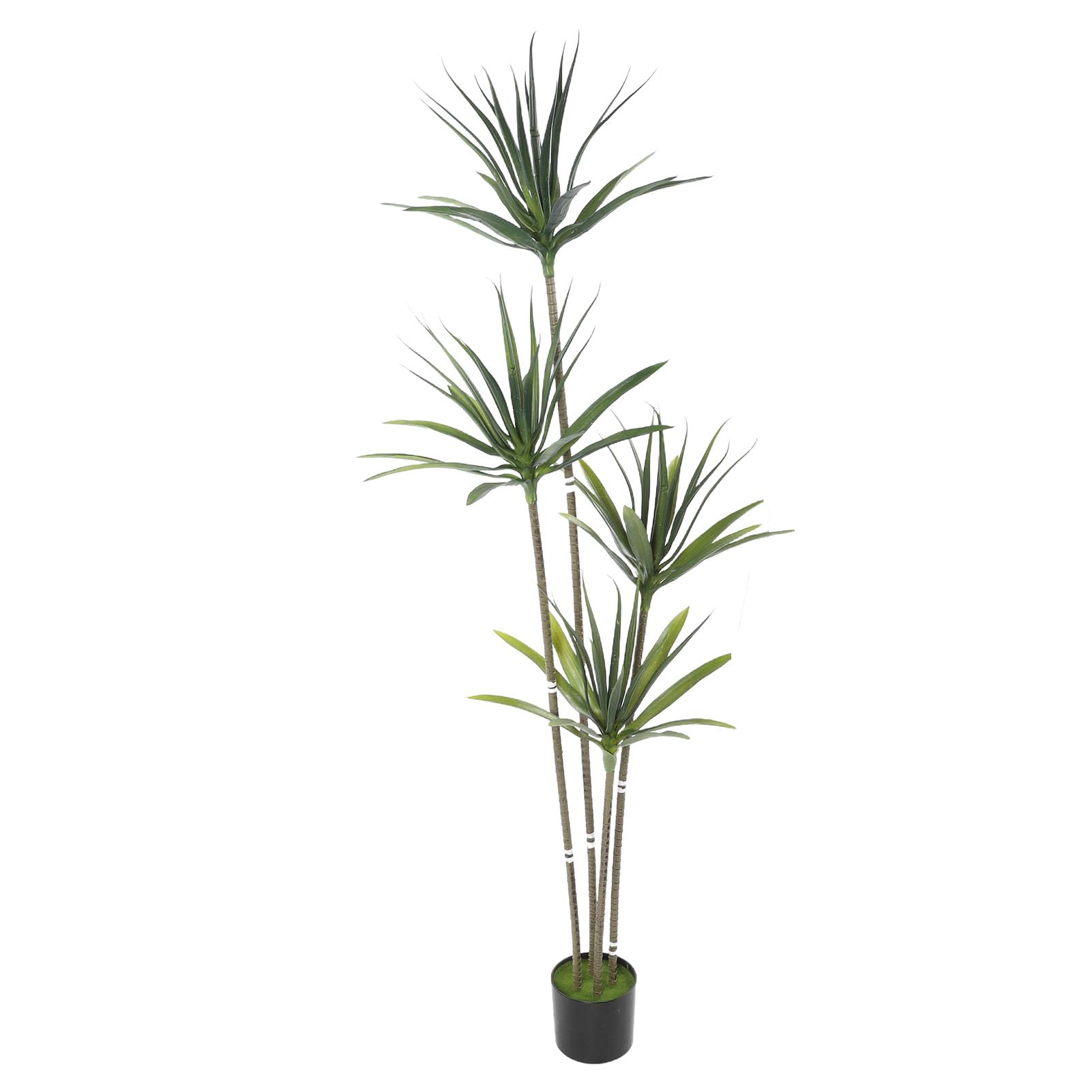 Generic Pianta Finta di Albero di Agave Artificiale, Regalo Perfetto per Inaugurazioni Domestiche o Compleanni, Decorazioni per Interni, 49" (180 cm)