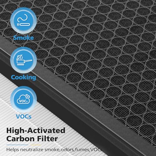Image of 2 Pack F1 Replacement Filter for AMEIFU F1 Air Purifier, Double-Sided Air Purifier Filter for Home Large Room Up to 2200 Sq Ft, H13 True HEPA and Activated Carbon, Replace Part #‎F1F