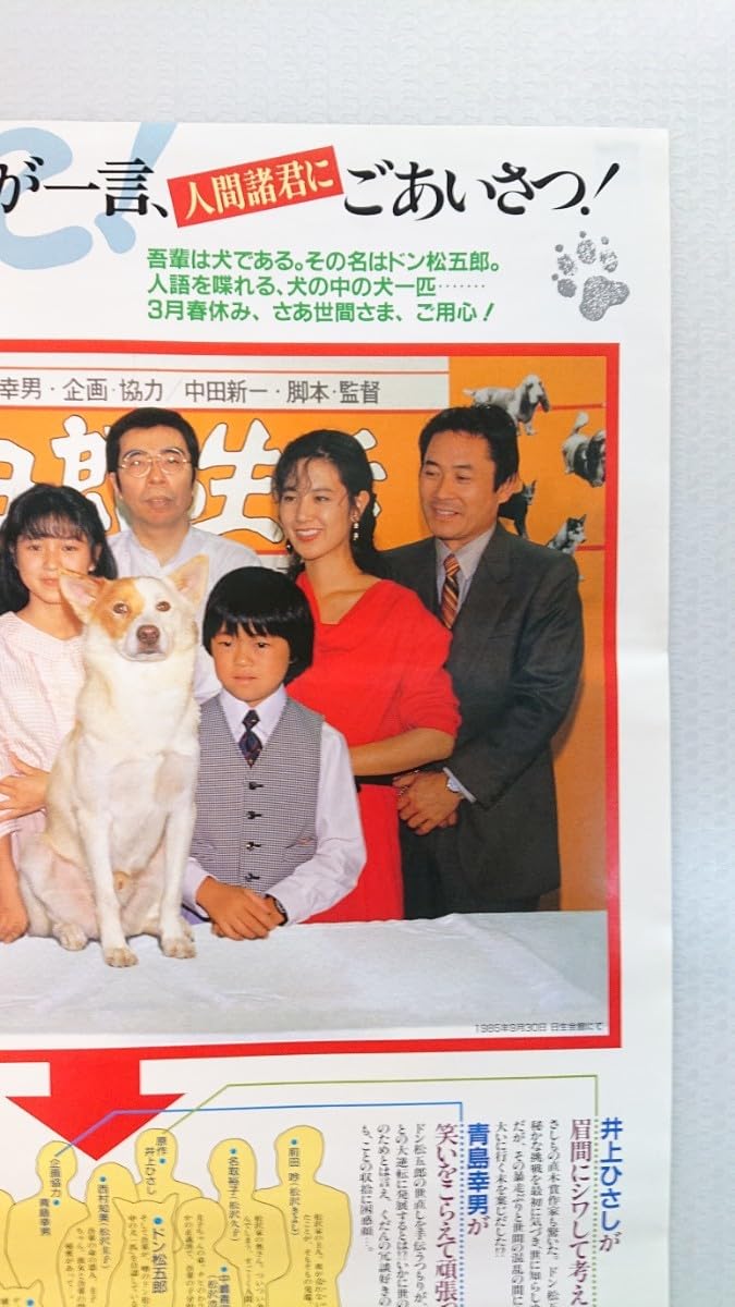 Amazon.co.jp: B2判 ドン松五郎の生活 劇場版 当時物映画ポスター