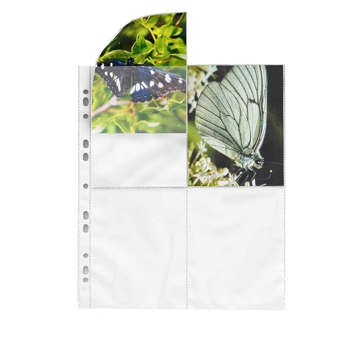 MASHPAPER Buste Per Foto Per Album Ad Anelli (Bianco - 10 X 15 Cm, 100 Buste In Formato Verticale)