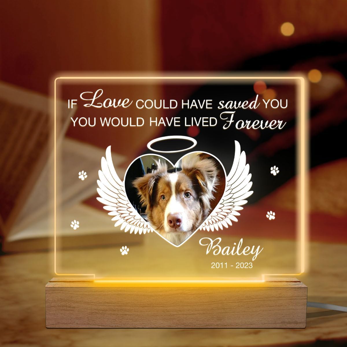 Glad Gua You Would Have Lived Forever Personalized Custom Acrylic 3D LED Light, Christmas Memorial Gifts for Dog Lovers, Remembrance Gift for Loss of Dog, Grieving Gifts, Pet Loss Gifts