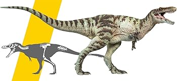 Amazon | PNSO成長シリーズ キアンゾウサウルス チアンジョウサウルス