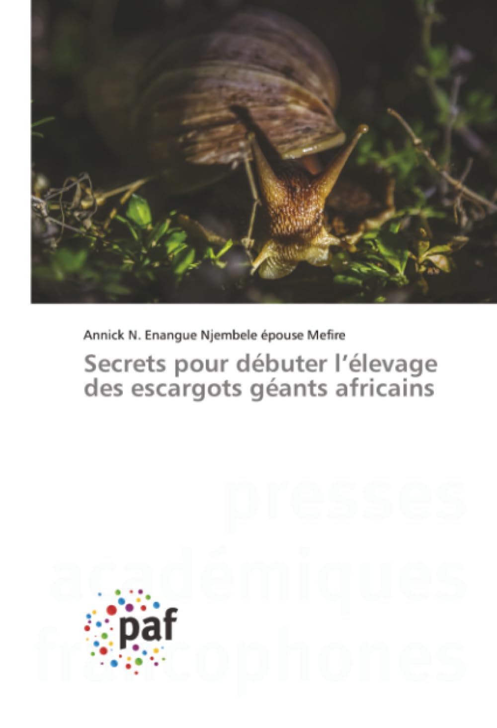 Secrets pour débuter l’élevage des escargots géants africains