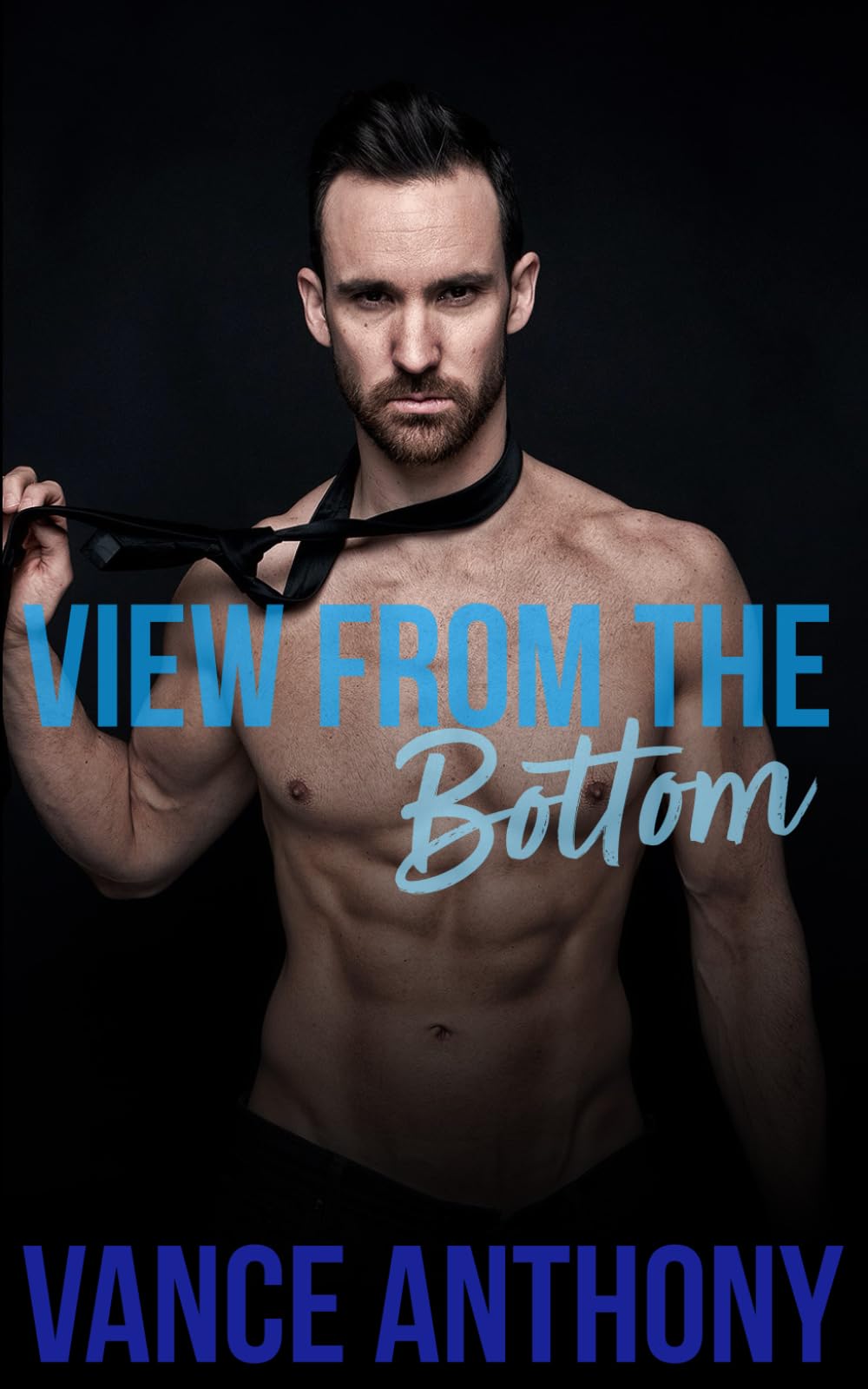 View From the Bottom: A Bundle of Gay Erotic Shorts